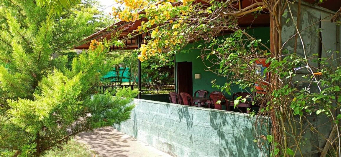 Green Hills Farm And Guest House Масинагуди Екстериор снимка