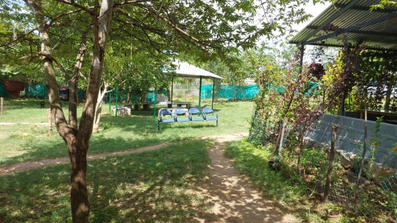 Green Hills Farm And Guest House Масинагуди Екстериор снимка
