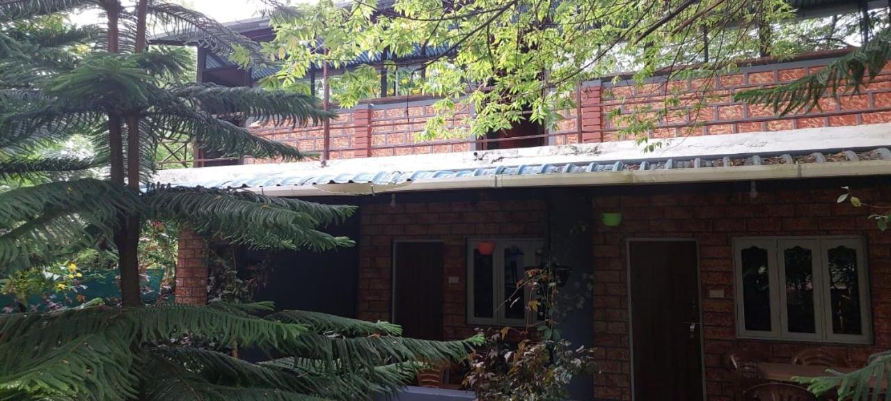 Green Hills Farm And Guest House Масинагуди Стая снимка